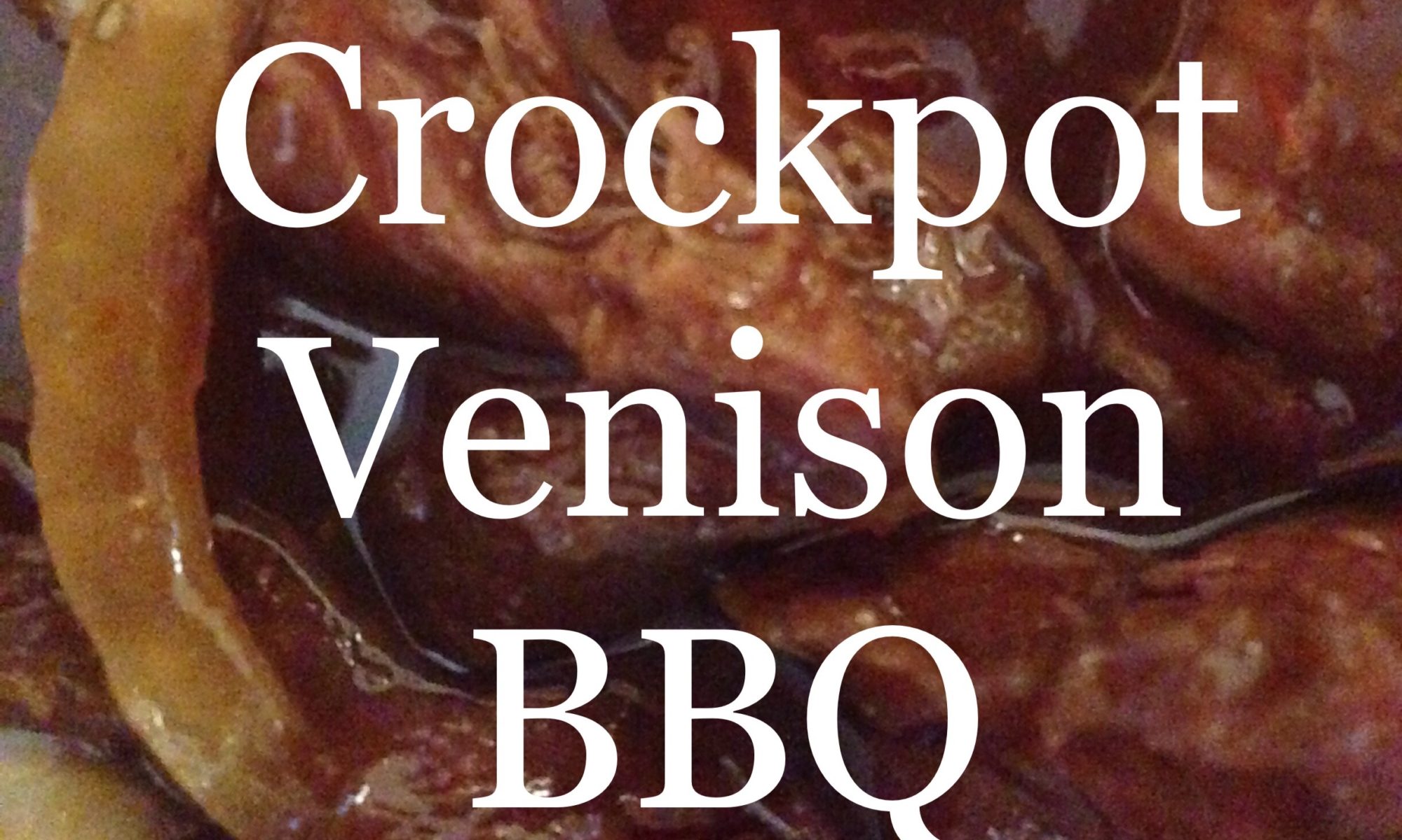 Crockpot Venison BBQ
