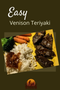 Easy Teriyaki Venison