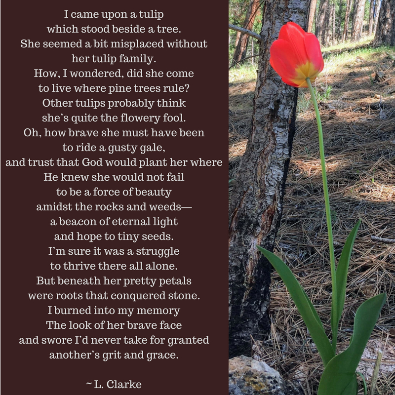 The Tulip-Inspirational poetry